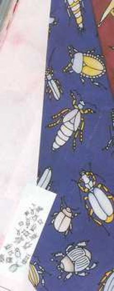 Gutta-Krawatte Beetles