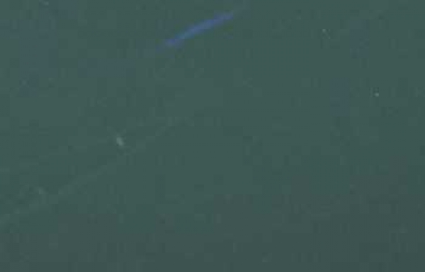 Set Doppelkarten und Couverts, Charly tannengrün