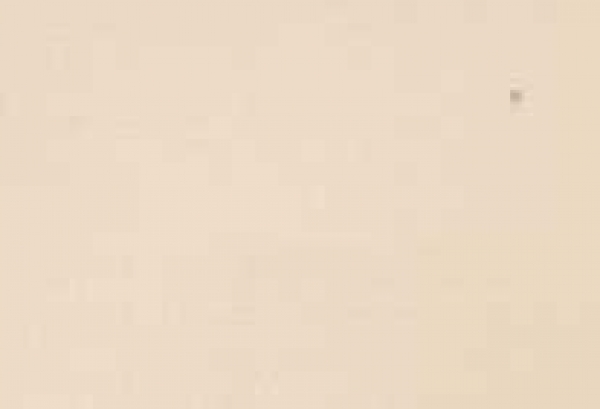 Encaustic-Malkarten Perlmutt, champagner