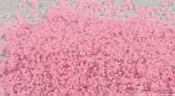 Kerzensand pink (neon)