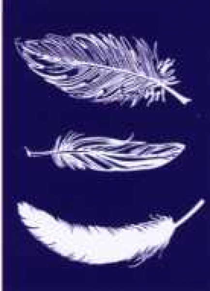 My Style Schablone Feder