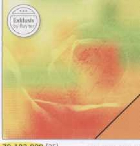 Scrapbookingpapier Schrift mit Rosen