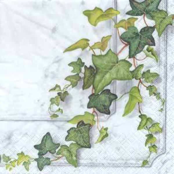 Serviette Efeu