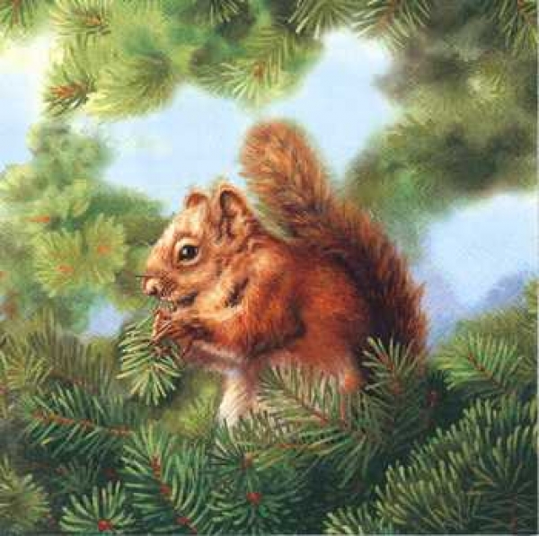 Serviette Eichhörnchen