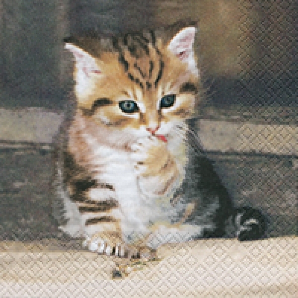 Serviette Tigerkätzchen