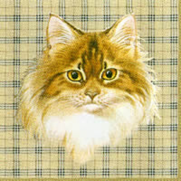 Serviette Katzenköpfe