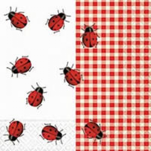 Serviette Marienkäfer, Karo