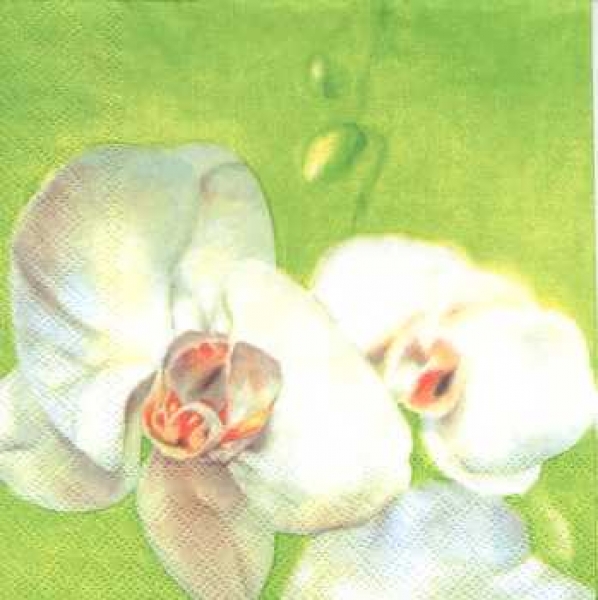 Serviette Orchidee