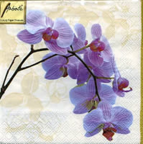 Serviette Orchidee lila