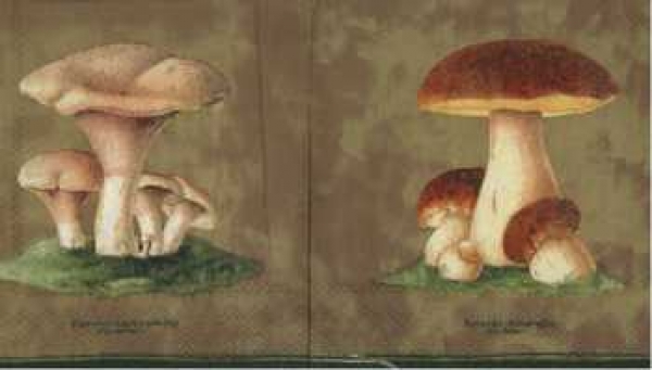 Serviette Pilze, Rarität
