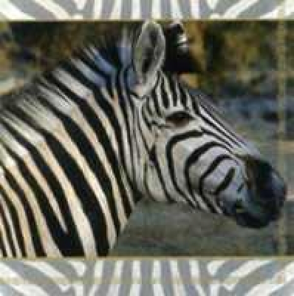 Serviette Zebra