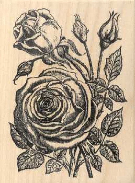 Stempel Rose mit Knopsen