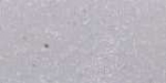 Embossing-Puder / Reliefpulver transparent irisierend