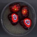 Glasperlen Millefiori rot