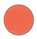 Patio-Paint capriorange