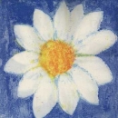 Serviette Blume, Rarität