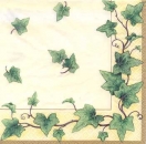 Serviette Efeu
