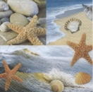 Serviette Muscheln, Strand (Ocean Patchwork)