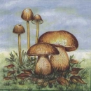 Serviette Pilze, Rarität
