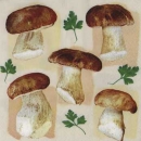 Serviette Steinpilze, Rarität