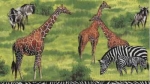 Serviette Wilde Tiere (Nashorn, Giraffe, Leopard, Zebra, Gnu), Rarität