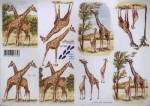 3D Schneidebogen Giraffe