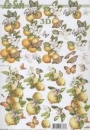 3D Schneidebogen Orangen, Zitronen