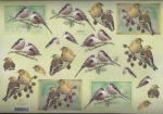 3D Schneidebogen Vögel