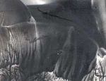 Encaustic-Wachsmalfarbe schwarz