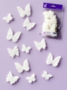 Nadelflies Schmetterlinge natur