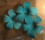 Lederblüten blau-grün