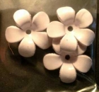 Lederblüten weiss