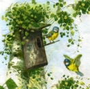 Serviette Blaumeisen, Vogelhaus