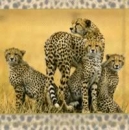 Serviette Gepardfamilie