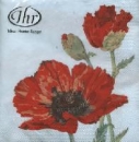 Serviette Klatschmohn