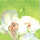 Serviette Orchidee