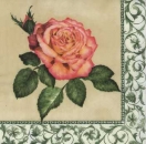 Serviette Rose, Rarität