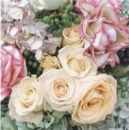 Serviette Rosen div.