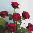 Serviette Bouquet roter Rosen