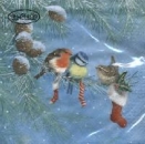 Serviette 3 Vögel auf Ast, mit Socken