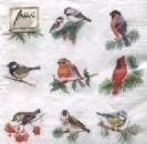 Serviette Vögel div.