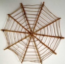 Reben-Spinnennetz natur