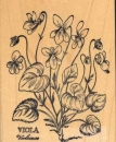 Stempel Veilchen
