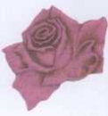 Verzierwachs Rose altrot